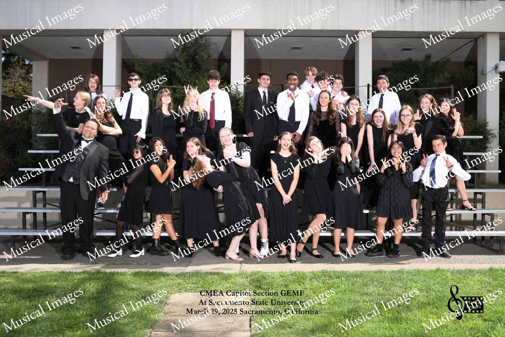 Musical Images